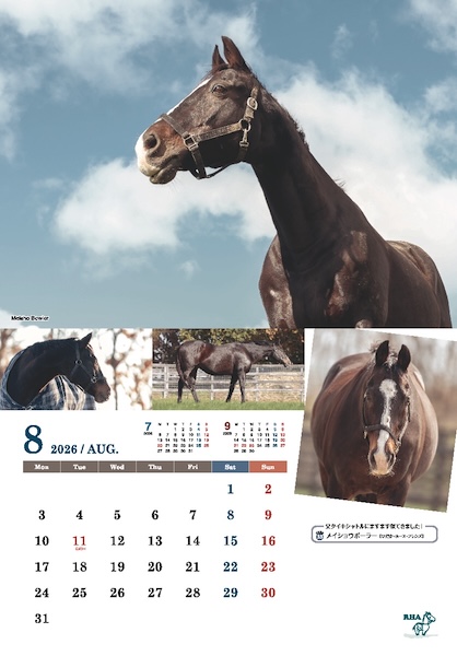 引退馬協会＞「フォスターホースカレンダー 2026」