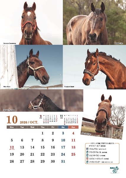 引退馬協会＞「フォスターホースカレンダー 2026」