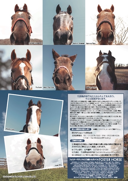 引退馬協会＞「フォスターホースカレンダー 2026」