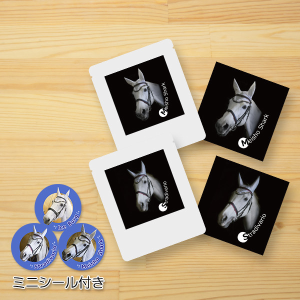 ＜差し入れ付き＞園田競馬の誘導馬コーヒー（２個セット）