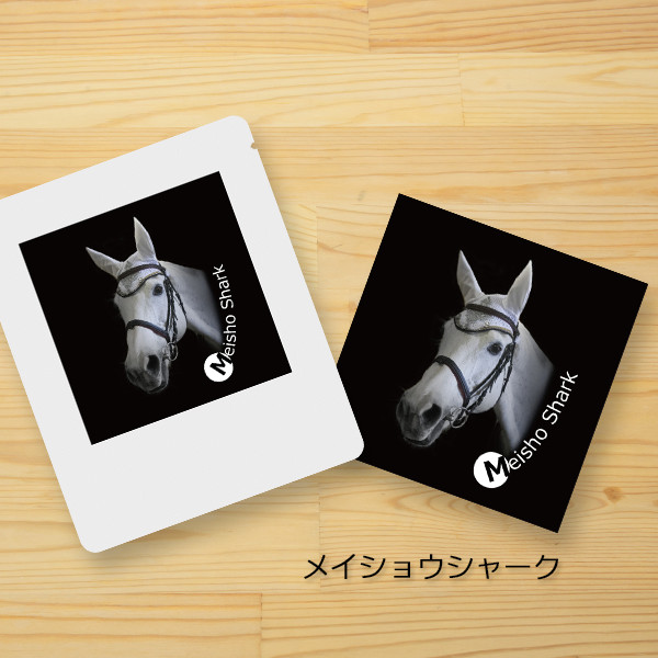 差し入れ付き＞園田競馬の誘導馬コーヒー（2個セット）