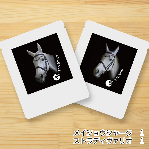 ＜差し入れ付き＞園田競馬の誘導馬コーヒー（２個セット）
