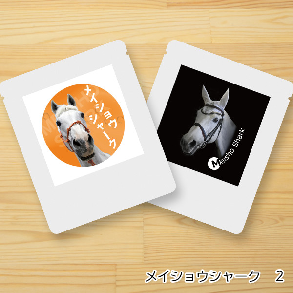 差し入れ付き＞園田競馬の誘導馬コーヒー（2個セット）