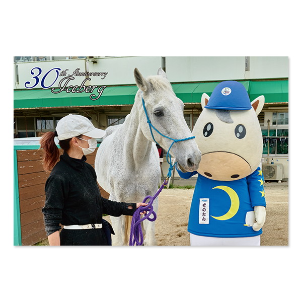 数量限定】＜差し入れ付き＞アイスバーグ ポストカードセット（カード