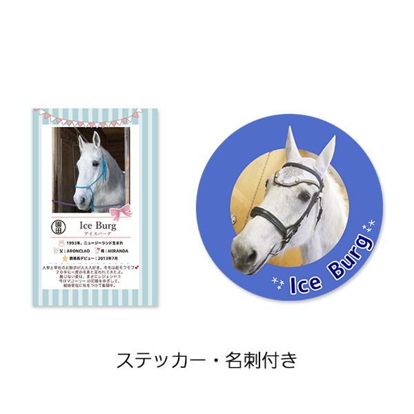 競馬ぬいぐるみ　クレッシェンドラヴ号　ポストカードセット あの名馬たちのオリジナルポストカードがもらえる！「サラブレッド