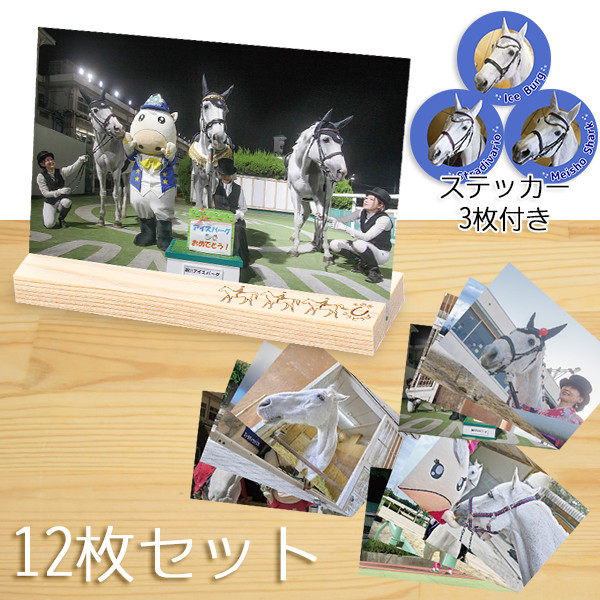 ＜差し入れ付き＞園田競馬　誘導馬ポストカード１２枚セット（カードスタンド・ミニシール付）