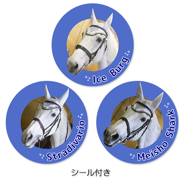 差し入れ付き＞園田競馬 誘導馬ポストカード12枚セット（カード