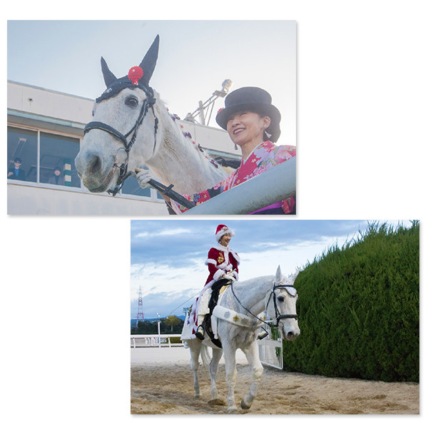 差し入れ付き＞園田競馬 誘導馬ポストカード12枚セット