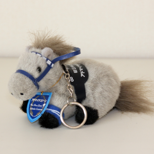 アドマイヤコジーン/第50回朝日杯3歳S [5Sキーホルダー]