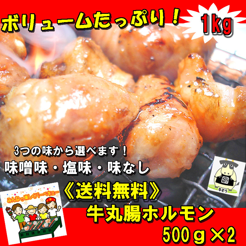 【送料無料】でか盛り☆牛丸腸ホルモン500ｇ×2袋 焼肉・モツ鍋にどうぞ 父の日　ＢＢＱ　バーベキュー