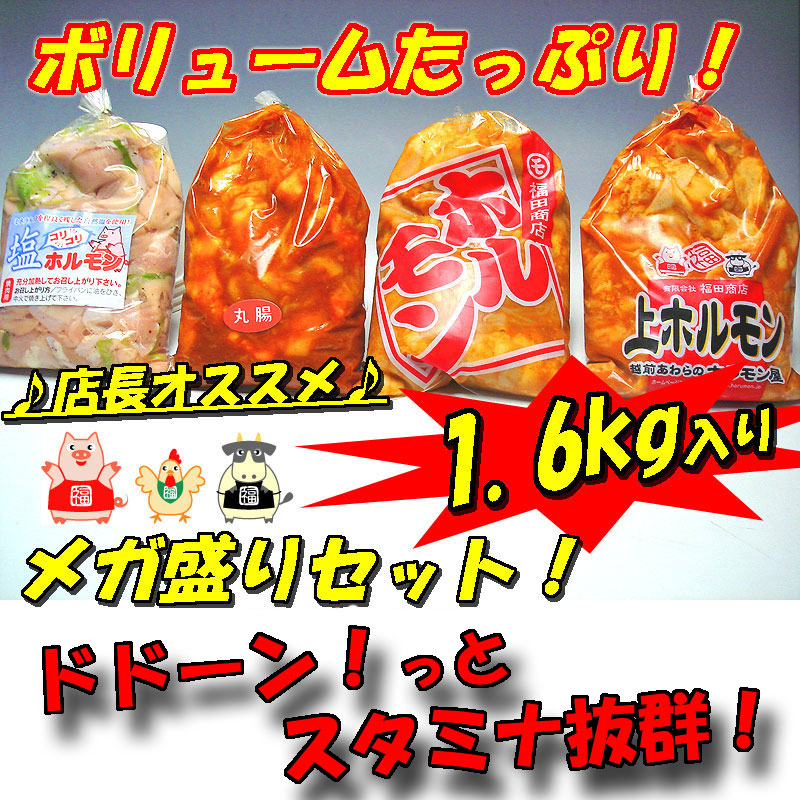 【送料無料】店長オススメ！メガ盛りホルモンセット1.6kg入り