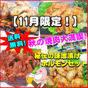 【送料無料】11月限定！秘伝の味噌漬けホルモンセット！お一人様3セット限定！