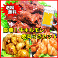 【送料無料】豪華！牛ホルモン焼肉３点セット　バーベキュー　ＢＢＱ