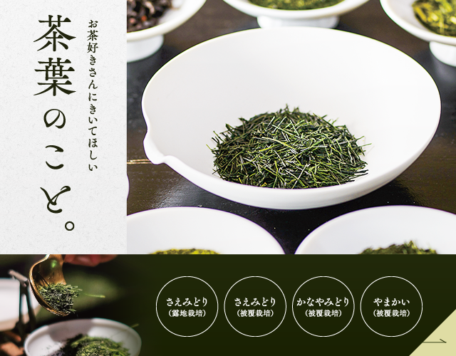 お茶好きさんにきいてほしい 茶葉のこと