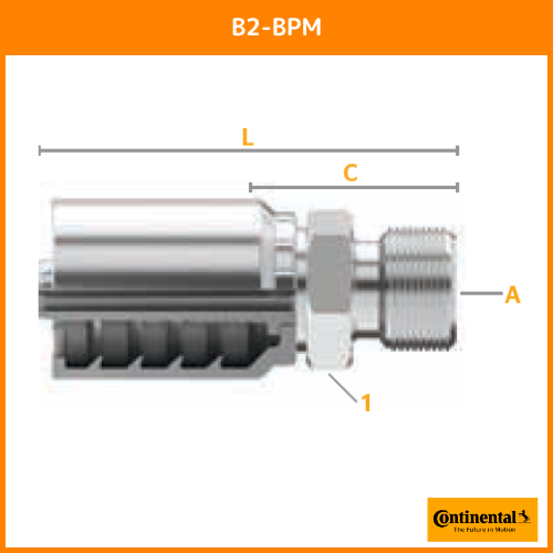 B2金具 ストレート BSPP オス（British Standard Pipe Parallel）