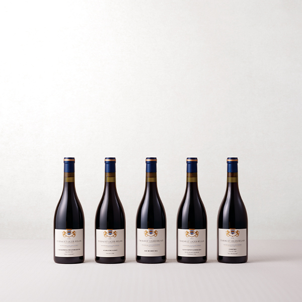 Iset 名門リジェ・ベレール家の系譜 ティボー・リジェ・ベレール