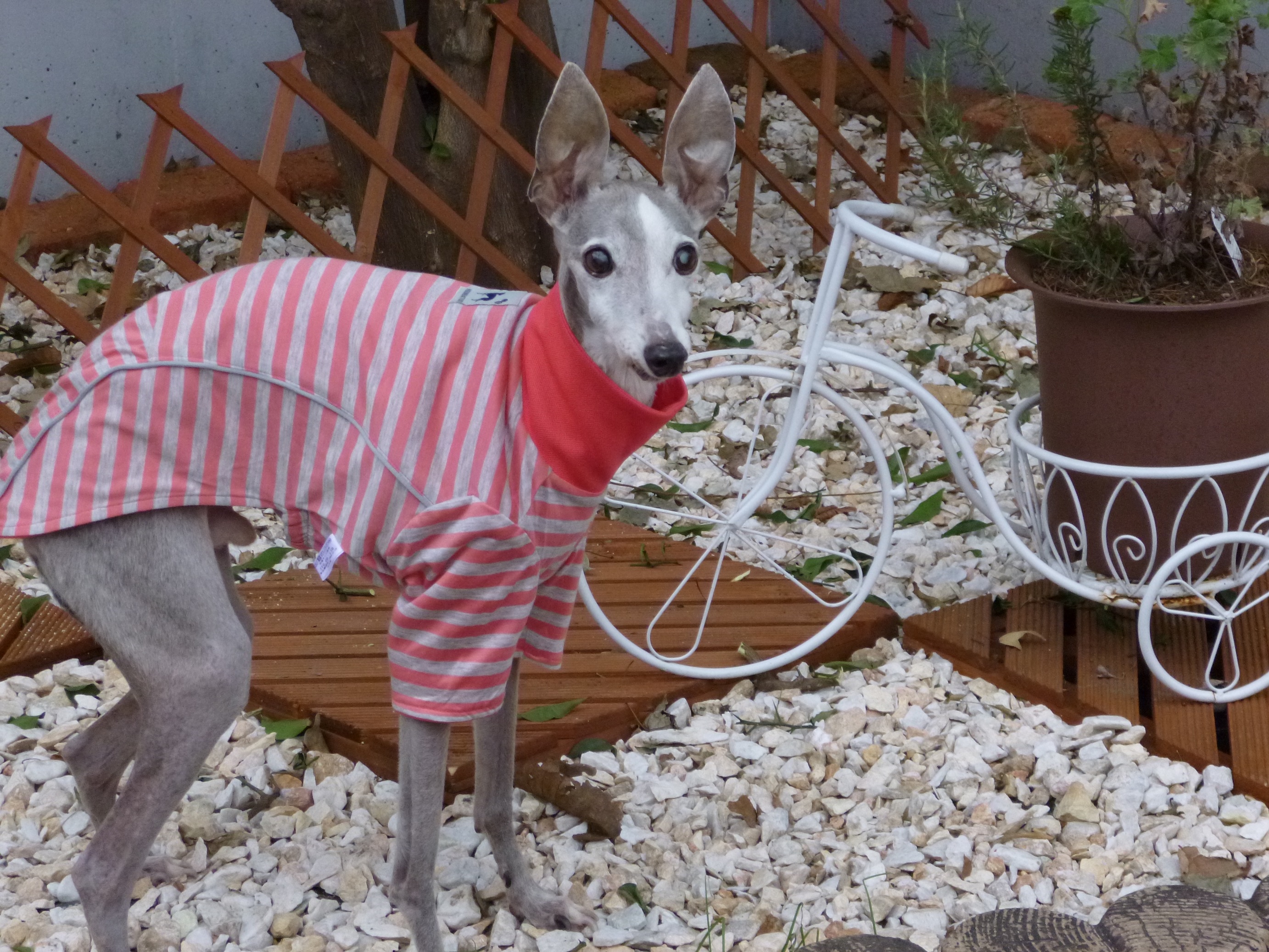 ピンクリバーシブルプル