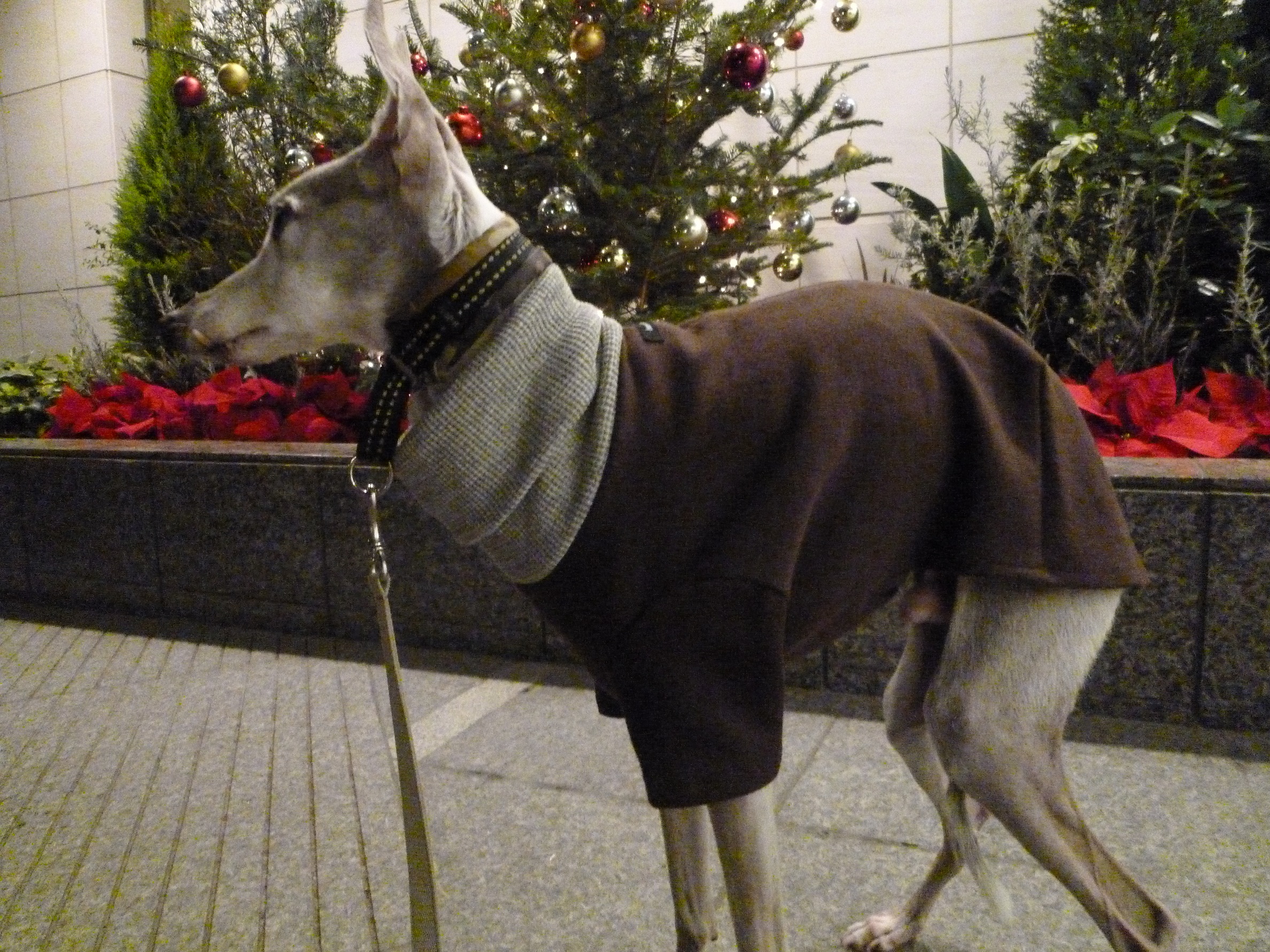 タートルネックブラウンT