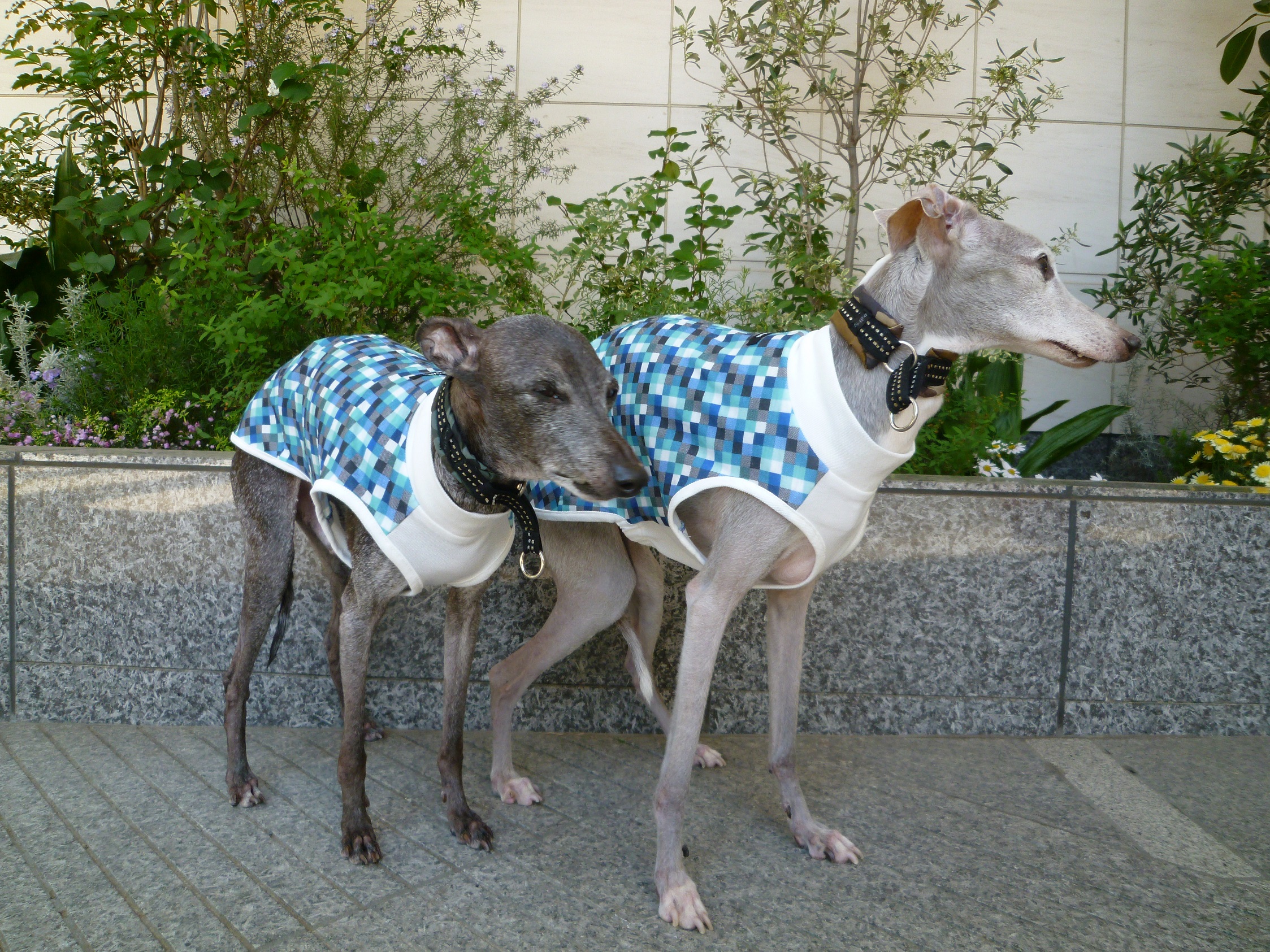 モザイク柄タンク