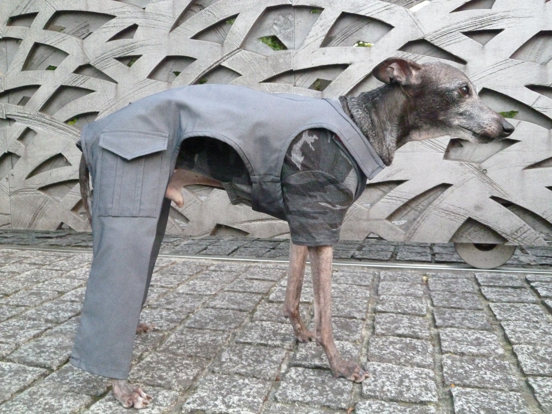 グレーカーゴパンツ
