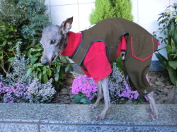 カーキパンツ