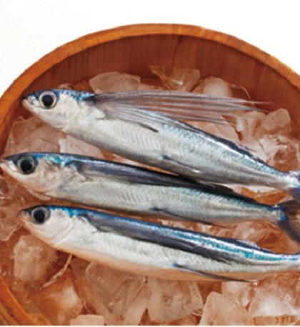 初だしの味あごだし