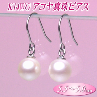 K14WGアコヤ真珠ピアス（5.5～5.0ミリ）