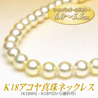 K18アコヤ真珠ネックレス（シャンパンゴールドカラー／6.0～5.5ミリ／WG・YGより選択可）