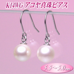 K14WGアコヤ真珠ピアス（5.5～5.0ミリ）