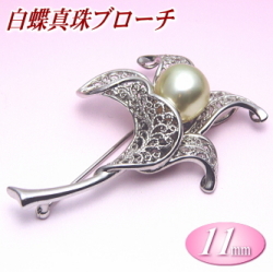 白蝶真珠 ブローチ 11mm ( 真珠 パール 南洋真珠 )
