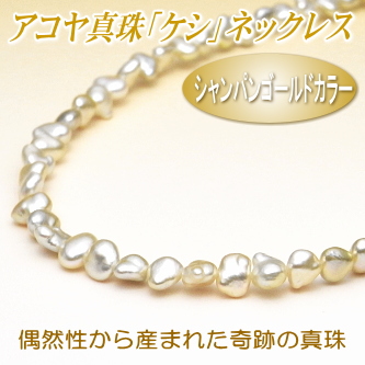 シャンパンゴールドカラーのアコヤ真珠「ケシ」ネックレス（6.0～5.0ミリ）