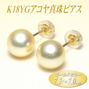 K18YGアコヤ真珠ピアス（ゴールドカラー／7.5～7.0ミリ）