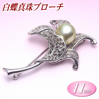 白蝶真珠 ブローチ 11mm ( 真珠 パール 南洋真珠 )