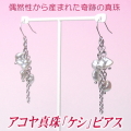 アコヤ真珠「ケシ」ピアス（シルバーホワイトカラー／7.0～6.0ミリ）
