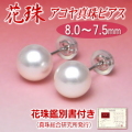 【花珠】アコヤ真珠ピアス（8.0～7.5ミリ／K14WG／花珠鑑別書付き）