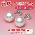 【花珠】アコヤ真珠ピアス（8.5～8.0ミリ／K14WG／花珠鑑別書付き）