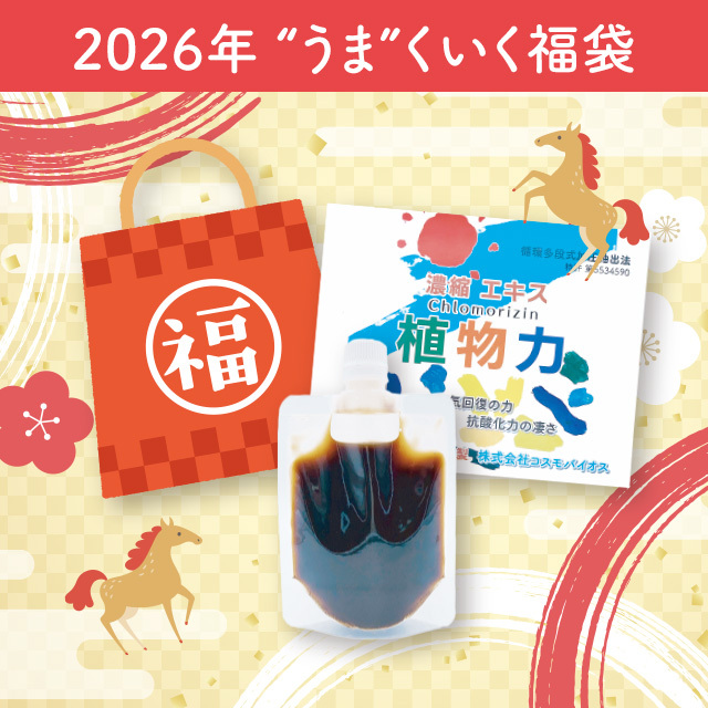 2026年 “うま”くいく福袋