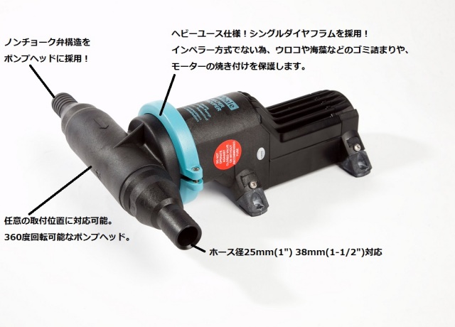 【Whale】イケス専用ポンプ　グルーパー12v