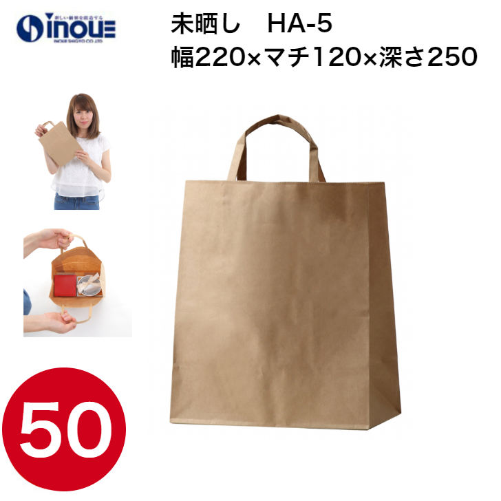 紙袋 手提げ 茶 無地 未晒 小さい HA-5 220W×120D×250H 1セット50枚 日本製