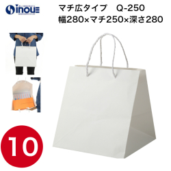 紙袋 高級 マチ広 正方形 手提げ 白 無地 Q-250 280W×250D×280H 1セット10枚