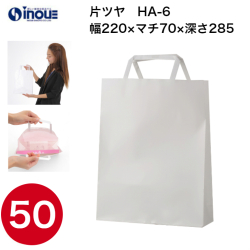 紙袋 手提げ 白 無地 片艶晒 小さい HA-6 220W×70D×285H 1セット50枚 日本製