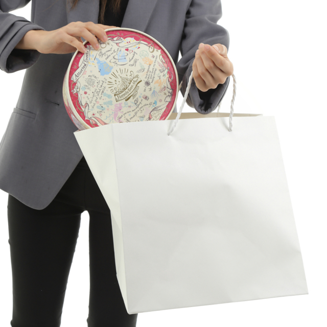 ⭐︎新品 定価約5万円 タグ付き きねや マチ広小町袋 正絹 ホワイト系 ⭐︎新品 定価約5万円 タグ付き きねや マチ広小町袋 正絹 ホワイト系