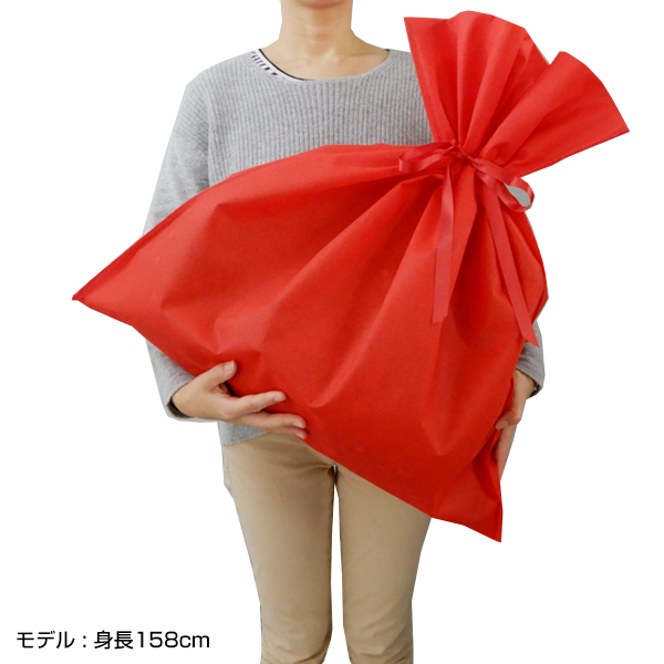 ギフトバック付き セルフラッピング用ギフト袋/S（4573357079129）|商品詳細