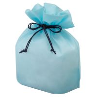 pieni lintu様　着替え袋　ランチョンマット4枚　巾着袋4枚 pieni lintu様 着替え袋 ランチョンマット4枚 巾着袋4枚 楽天
