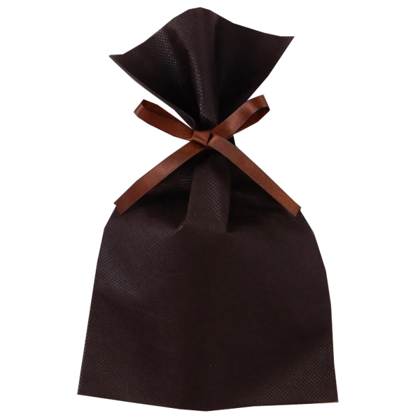 不織布 ラッピング袋 LS123 ソフトバッグ・ベーシック 2穴リボン巾着