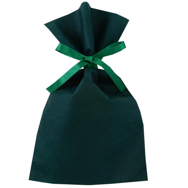 不織布 ラッピング袋 LS123 ソフトバッグ・ベーシック 2穴リボン巾着