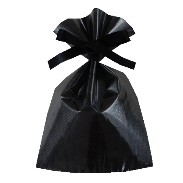 不織布 ラッピング袋 前面透明 LS161 ソフトバッグ・クリア 2穴リボン