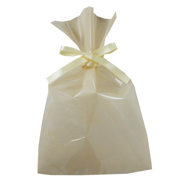 不織布 ラッピング袋 前面透明 LS163 ソフトバッグ・クリア 2穴リボン