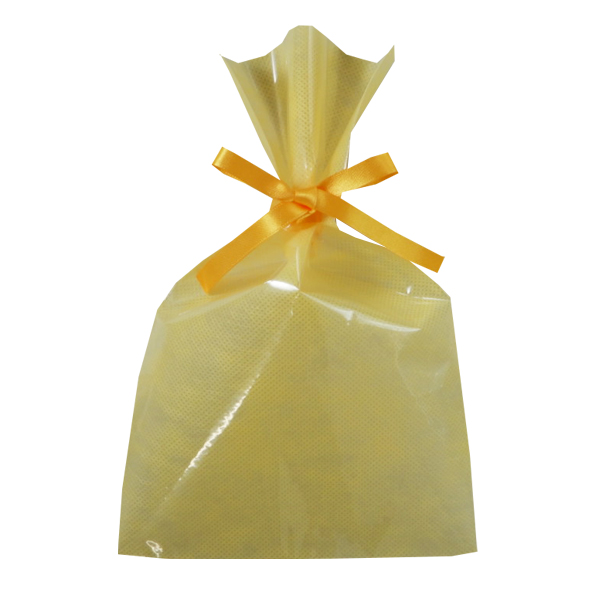 不織布 ラッピング袋 前面透明 LS163 ソフトバッグ・クリア 2穴リボン