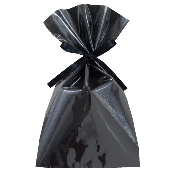 不織布 ラッピング袋 前面透明 LS164 ソフトバッグ・クリア 2穴